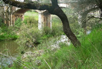 Puente sobre el ro Chanza