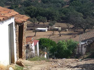 Vista de la calle o plaza